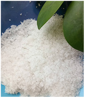 專業(yè)品質(zhì)保證